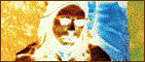 Zoot Horn Rollo of The Magic Band