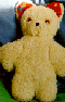 Teddy1