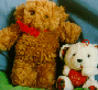 teddy 2 and teddy 3
