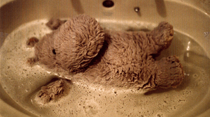 hippo enjoying a bath!